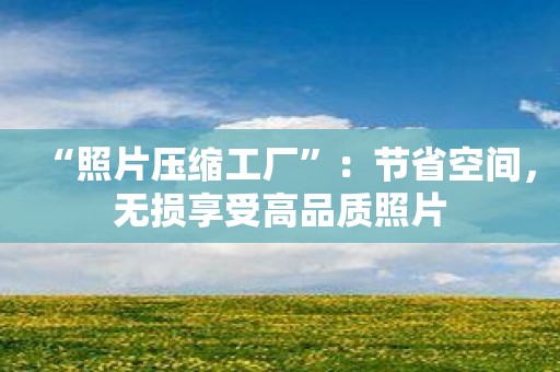 “照片压缩工厂”：节省空间，无损享受高品质照片