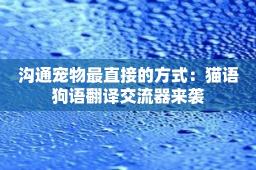 沟通宠物最直接的方式：猫语狗语翻译交流器来袭