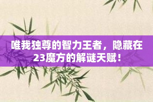 唯我独尊的智力王者，隐藏在23魔方的解谜天赋！