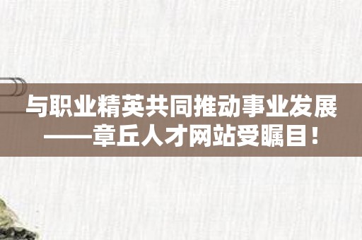 与职业精英共同推动事业发展——章丘人才网站受瞩目！