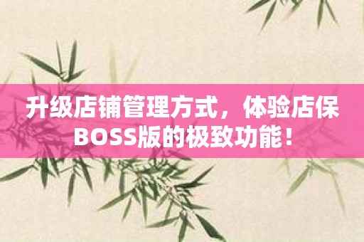 升级店铺管理方式，体验店保BOSS版的极致功能！