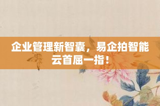 企业管理新智囊，易企拍智能云首屈一指！