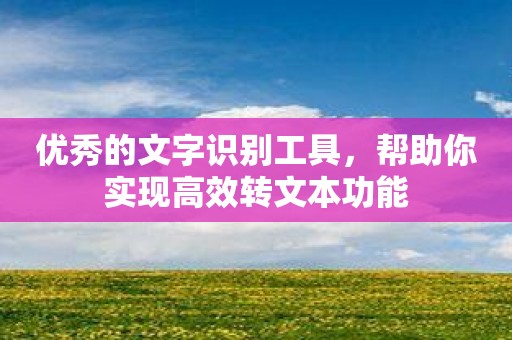 优秀的文字识别工具，帮助你实现高效转文本功能