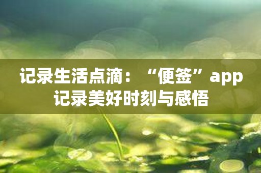 记录生活点滴：“便签”app记录美好时刻与感悟