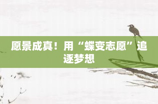 愿景成真！用“蝶变志愿”追逐梦想