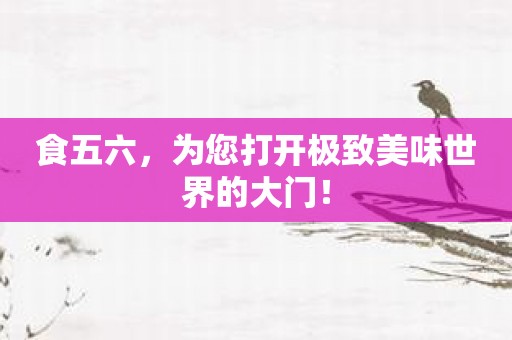 食五六，为您打开极致美味世界的大门！