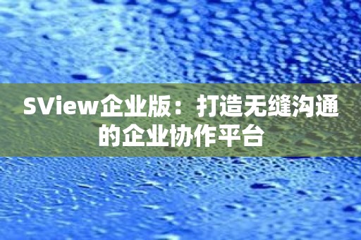 SView企业版：打造无缝沟通的企业协作平台