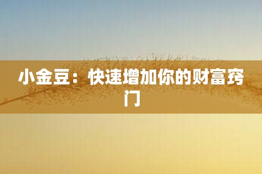 小金豆：快速增加你的财富窍门