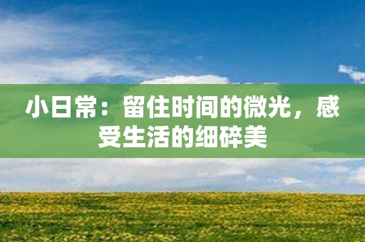 小日常：留住时间的微光，感受生活的细碎美