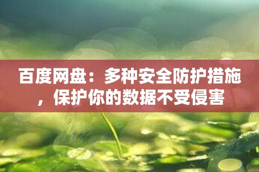 百度网盘：多种安全防护措施，保护你的数据不受侵害