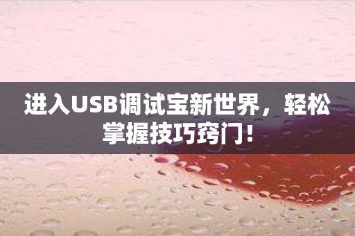 进入USB调试宝新世界，轻松掌握技巧窍门！