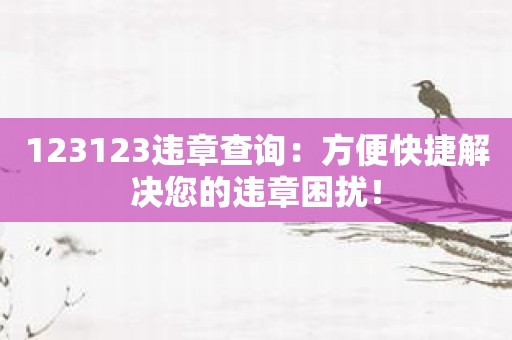123123违章查询：方便快捷解决您的违章困扰！