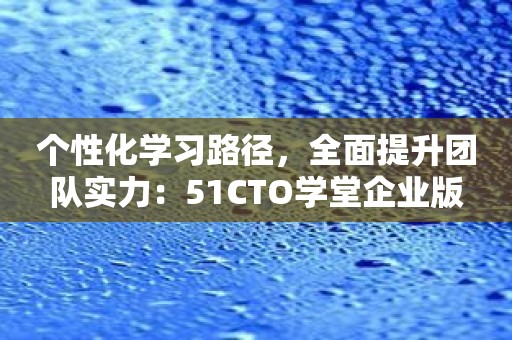 个性化学习路径，全面提升团队实力：51CTO学堂企业版