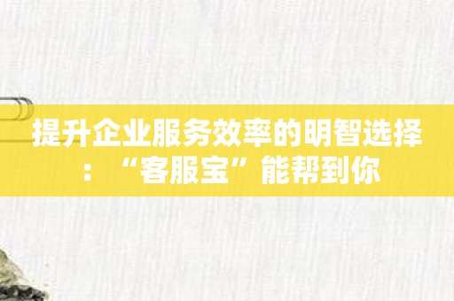 提升企业服务效率的明智选择：“客服宝”能帮到你