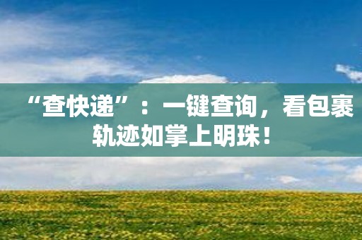 “查快递”：一键查询，看包裹轨迹如掌上明珠！
