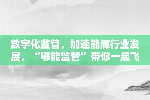数字化监管，加速能源行业发展，“鄂能监管”带你一起飞！