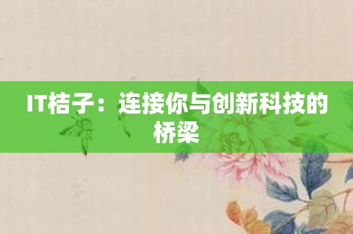 IT桔子：连接你与创新科技的桥梁