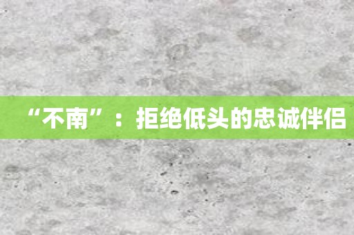“不南”：拒绝低头的忠诚伴侣