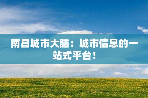 南昌城市大脑：城市信息的一站式平台！