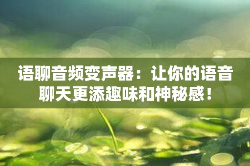 语聊音频变声器：让你的语音聊天更添趣味和神秘感！