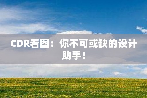 CDR看图：你不可或缺的设计助手！