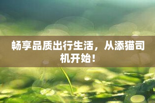 畅享品质出行生活，从添猫司机开始！