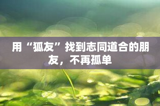 用“狐友”找到志同道合的朋友，不再孤单
