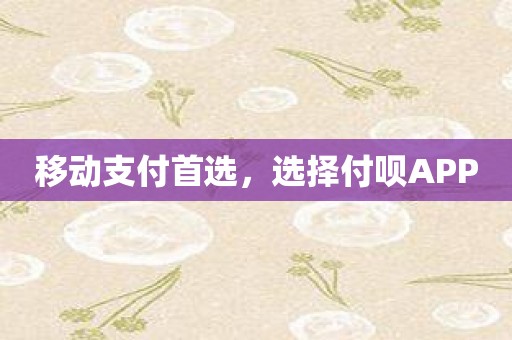 移动支付首选，选择付呗APP
