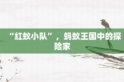 “红蚁小队”，蚂蚁王国中的探险家