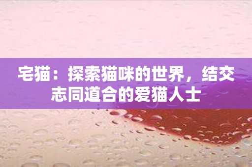宅猫：探索猫咪的世界，结交志同道合的爱猫人士