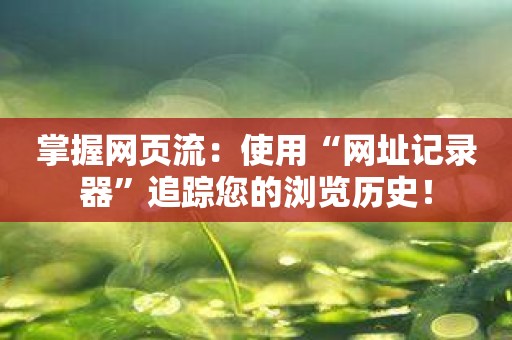 掌握网页流：使用“网址记录器”追踪您的浏览历史！