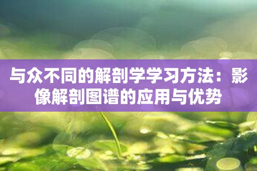 与众不同的解剖学学习方法：影像解剖图谱的应用与优势