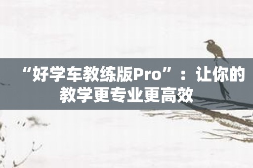 “好学车教练版Pro”：让你的教学更专业更高效