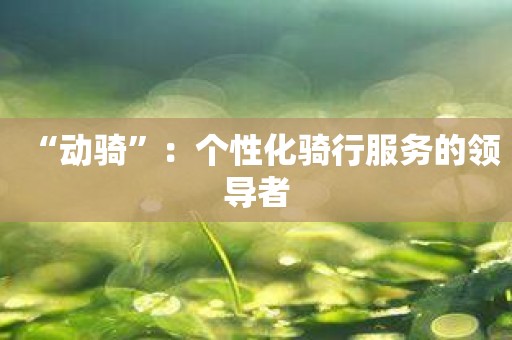 “动骑”：个性化骑行服务的领导者