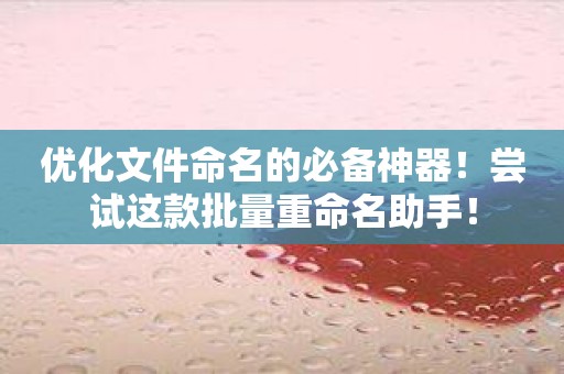 优化文件命名的必备神器！尝试这款批量重命名助手！
