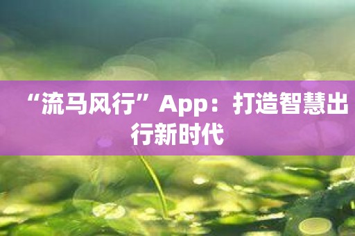 “流马风行”App：打造智慧出行新时代