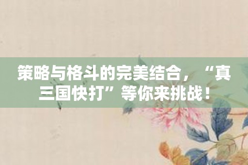 策略与格斗的完美结合，“真三国快打”等你来挑战！