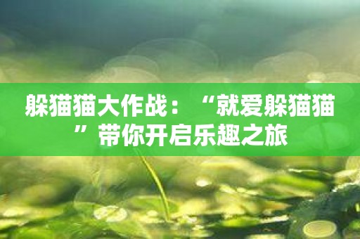 躲猫猫大作战：“就爱躲猫猫”带你开启乐趣之旅