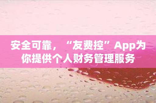 安全可靠，“友费控”App为你提供个人财务管理服务