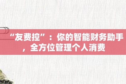 “友费控”：你的智能财务助手，全方位管理个人消费