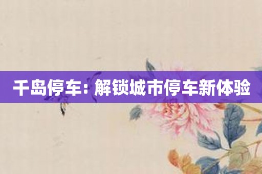 千岛停车: 解锁城市停车新体验