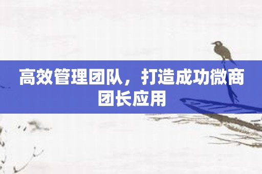 高效管理团队，打造成功微商团长应用