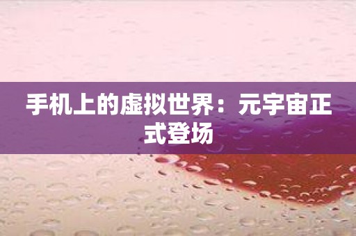 手机上的虚拟世界：元宇宙正式登场