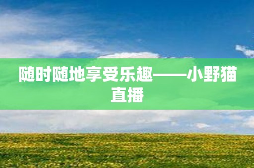 随时随地享受乐趣——小野猫直播