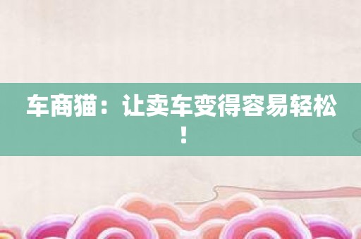 车商猫：让卖车变得容易轻松！