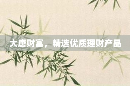 大唐财富，精选优质理财产品