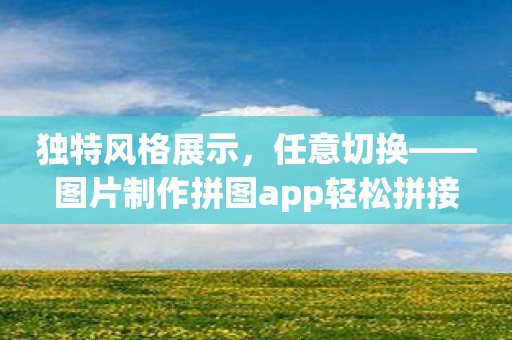 独特风格展示，任意切换——图片制作拼图app轻松拼接