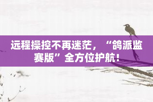 远程操控不再迷茫，“鸽派监赛版”全方位护航！