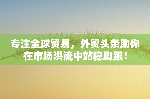 专注全球贸易，外贸头条助你在市场洪流中站稳脚跟！