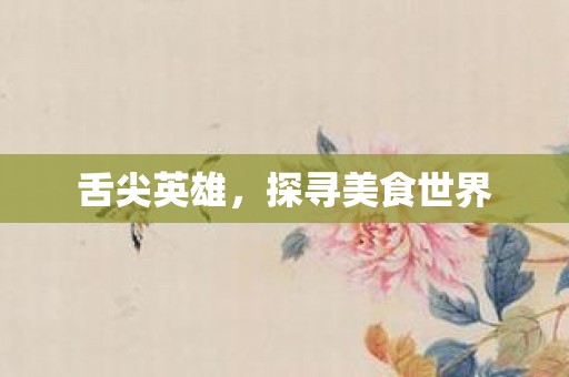 舌尖英雄，探寻美食世界